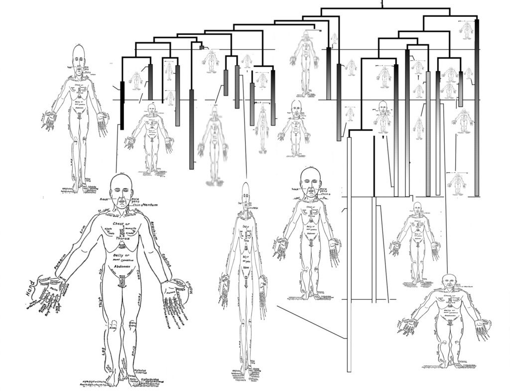 Fascinating Tidbits About the Human Body You've Probably Never Heard