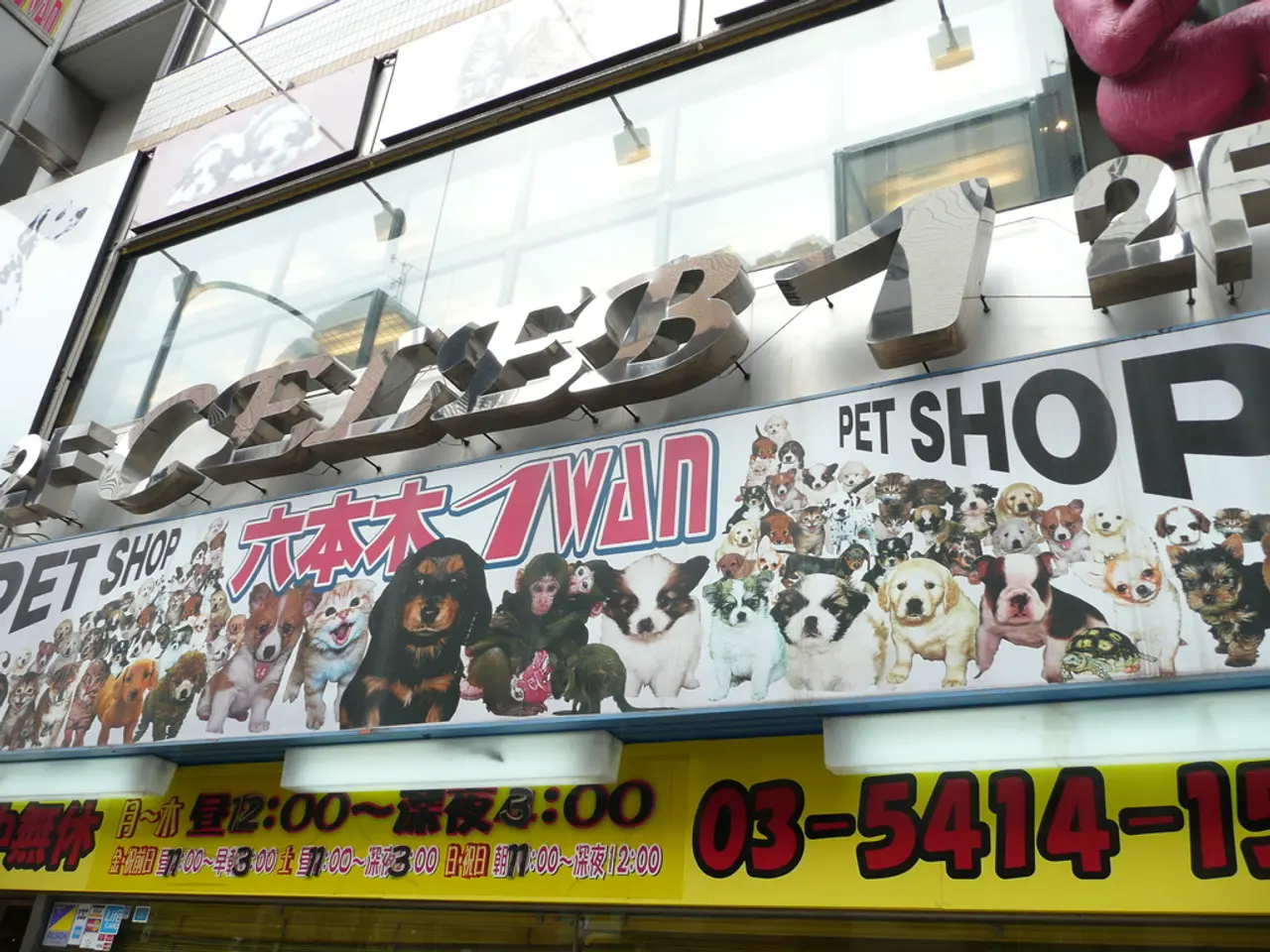 Struggling with Forgetfulness: Could It Be Stress, Alzheimer's, or Dementia?