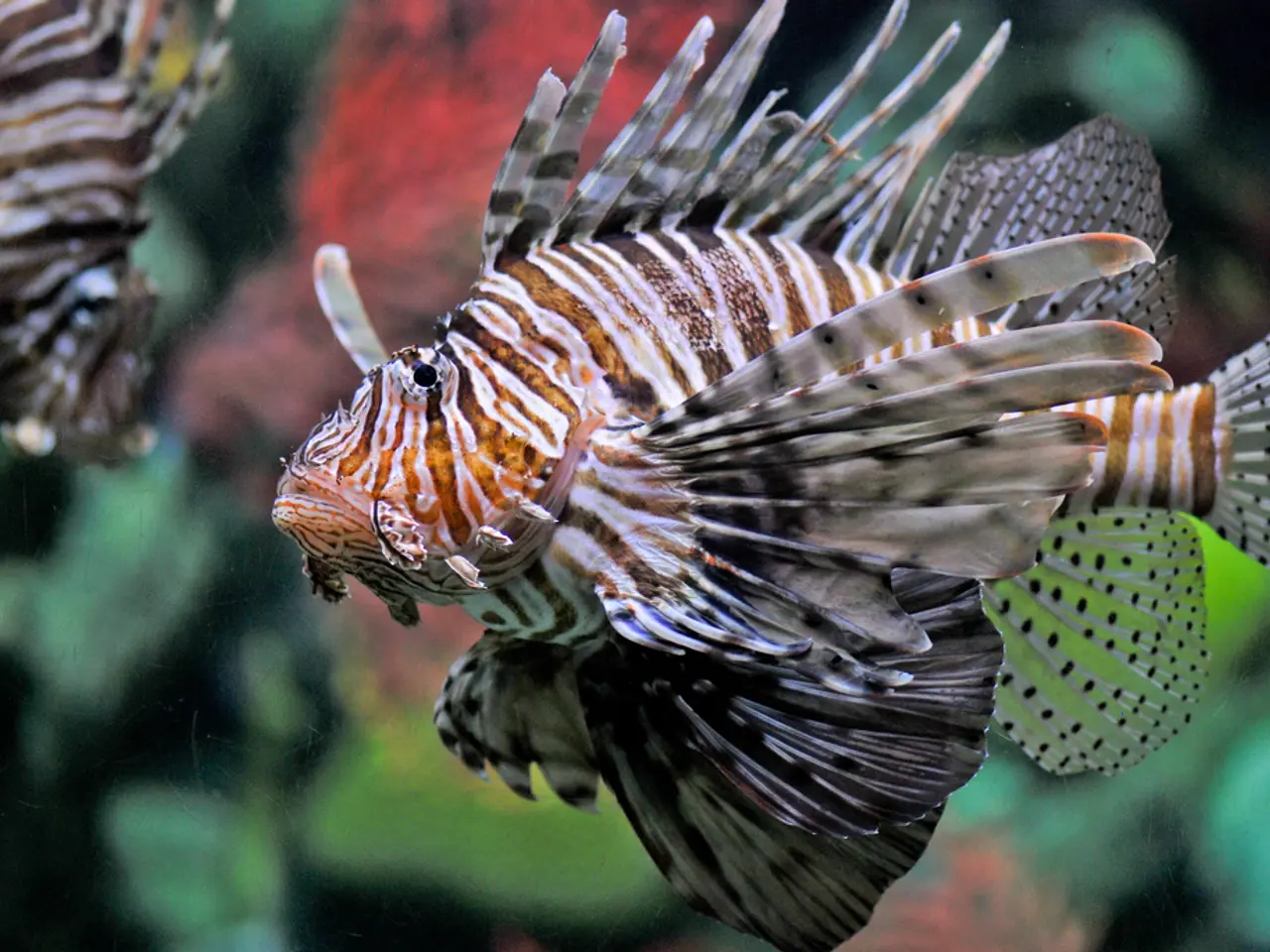 Contaminated seafood discovered in Zabaicali