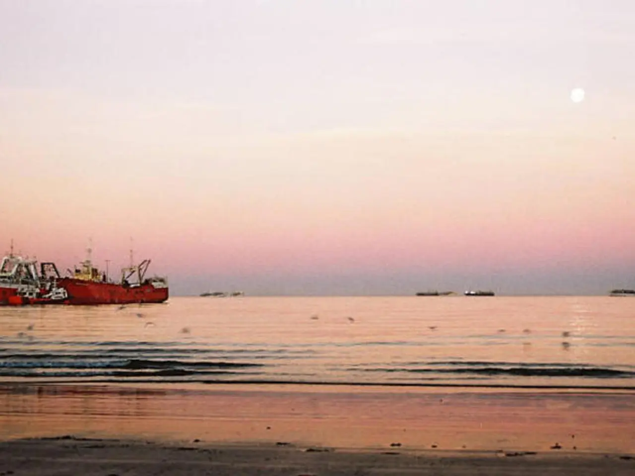 Record-breaking warm temperatures in European seas: Is this too hot?