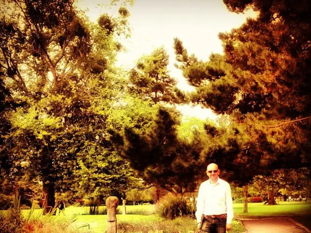 Potential Hair Regrowth Solution Emerges: New Treatment Induces Complete Fur Regrowth in Mice