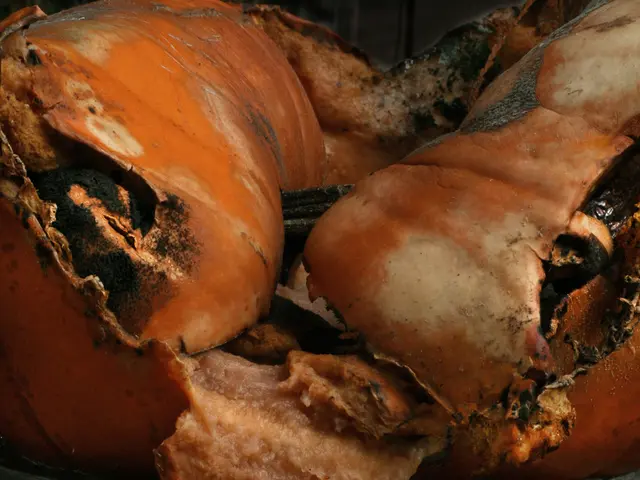 Butchers in Franceshut down following a string of child illnesses