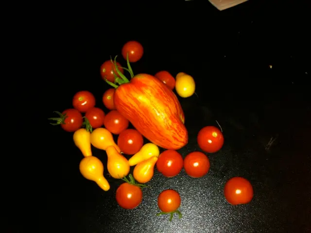 Nutrient-Rich Fruits Packing Protein for a Balanced Diet