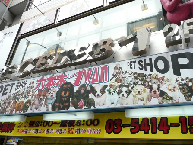 Struggling with Forgetfulness: Could It Be Stress, Alzheimer's, or Dementia?