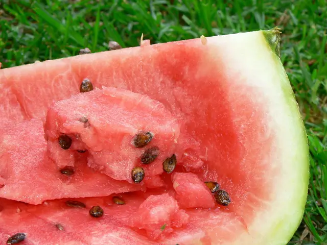 Watermelon Seeds: Nutrient-Rich Overlooked Food, a Surprising Nutritional Powerhouse