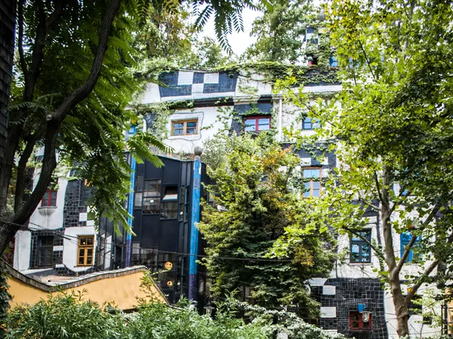 Advocacy group for the elderly petitions for specialized safeguards for elderly individuals during...