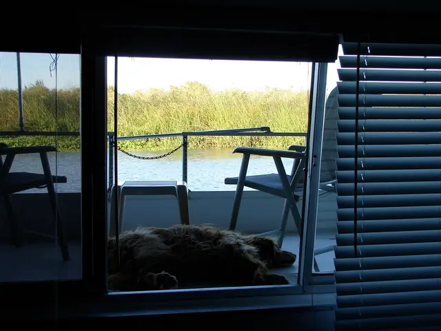 Guidelines for Safekeeping Canines During Warm Weather