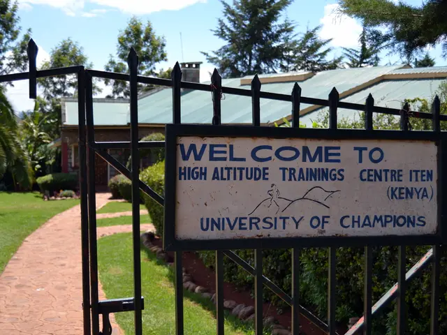 Child's persistent requests for Minecraft playing for six years might be fulfilled by a single...