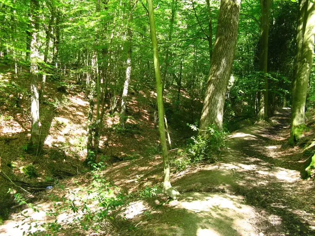 Forestry team in Sverdlovsk has traversed approximately 480,000 kilometers since January,...