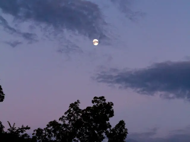 Nightly Coughs: Household Solutions and Potential Causes