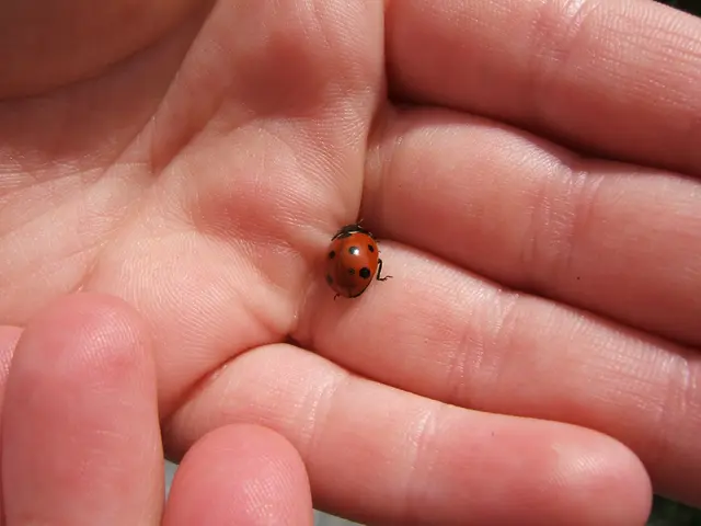 Finger numbness: six potential sources