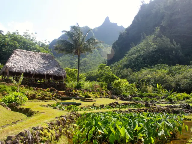 Transient Synovitis of the Hip: Signs, Origins, and Identification Methods