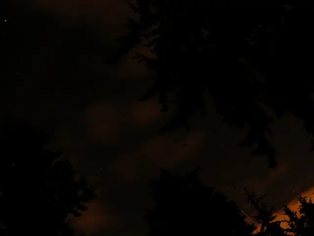 Stars exhibiting peculiar behavior may be sustaining themselves through the consumption of...