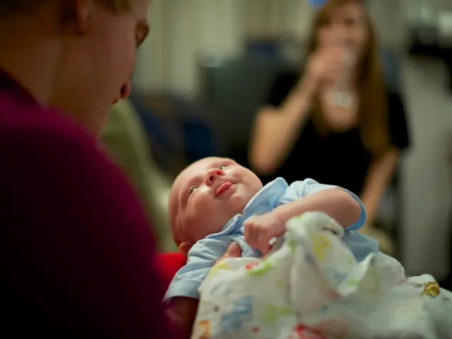 Understanding Fertility Impairment: An Examination of Infertility