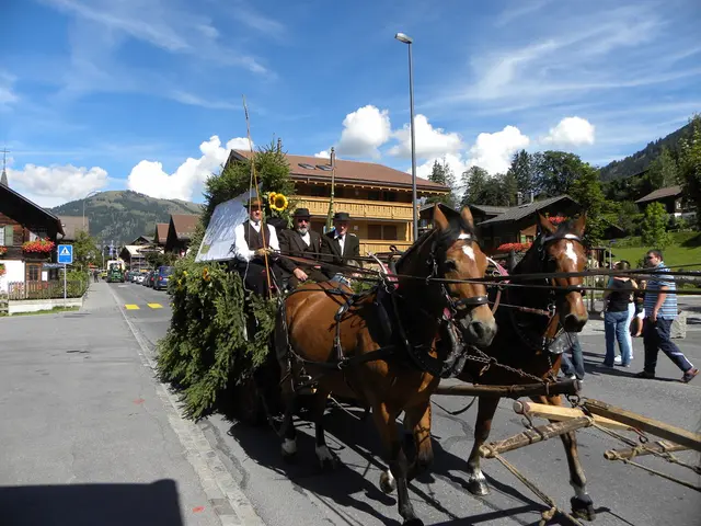 Assisted death practices: Understanding euthanasia and physician-assisted suicide