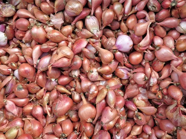 Onions: Nutritional Aspects and Health Benefits