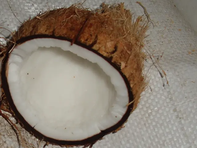 Strategies for Incorporating Coconut Oil into Your Meals: 3 Methods and Advice