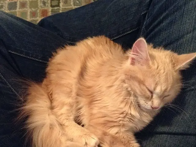 Recognizing an Overabundance of Pessimistic Individuals: Identifying and Managing Them