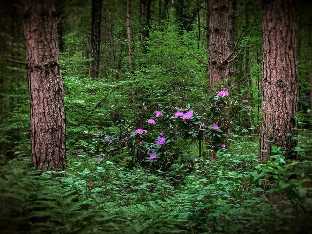 Exploring the Lives and Discoveries of Pioneering Researchers