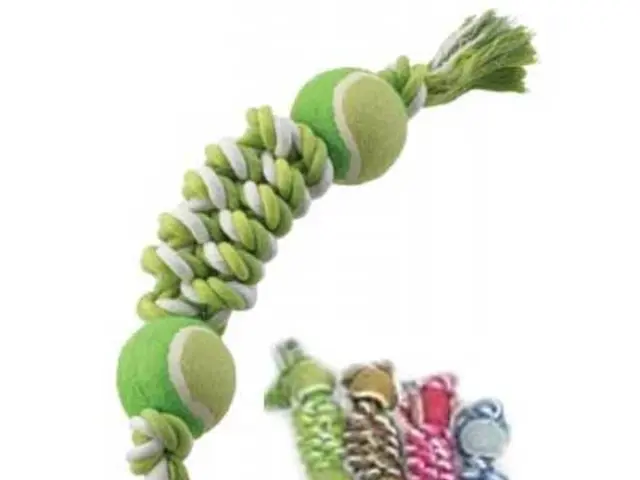 Alleviating Aches: Discovering Relief for Neck, Back, and Body Hurdles through Basic Equipment