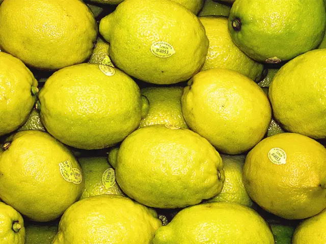 Lemon during pregnancy: Understanding benefits and potential risks