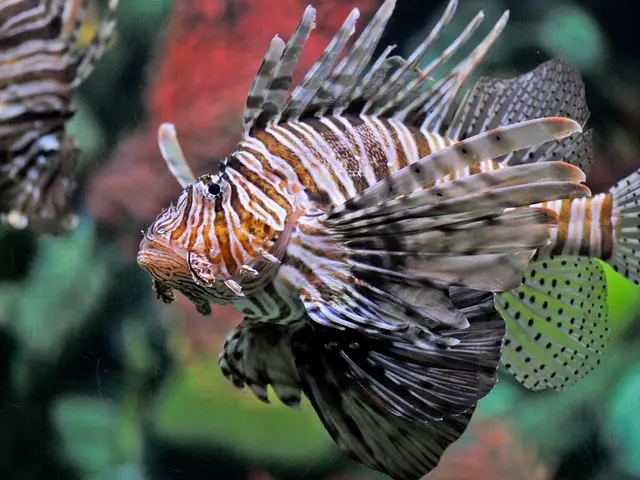 Contaminated seafood discovered in Zabaicali