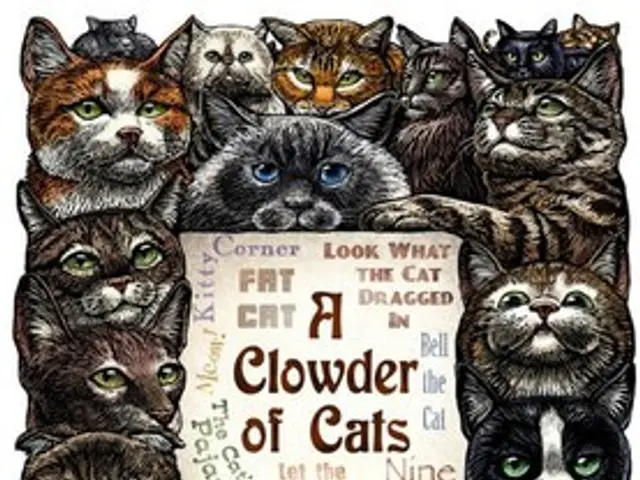 Guidelines and Practical Measures for Ethically Executing Initial Pig Kidney Xenotransplantation...