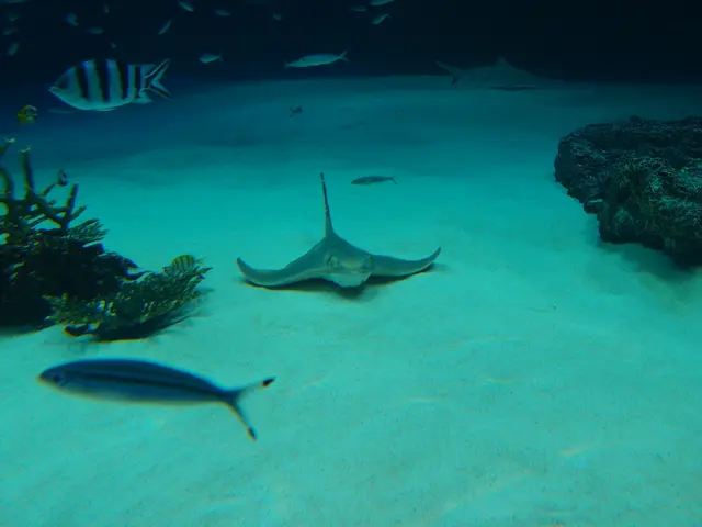 Public Swimming Pool Wiesensee in Hemsbach is being mowed down