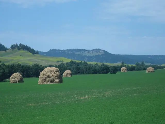 Weekly schedule at Neverland shortened to four days