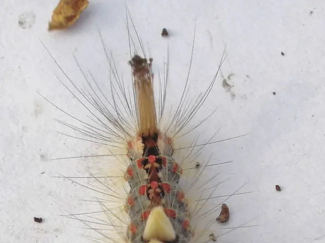 Bites from mites: Recognizing symptoms, treatment methods, and identifying various types of bites