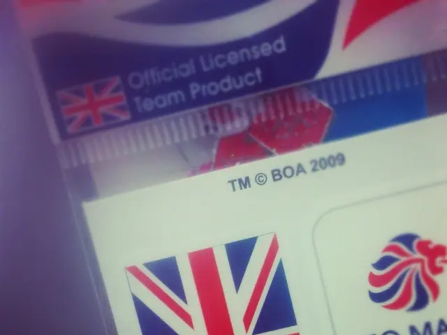 Month of Disability Pride: Essential Accessibility and Accommodations Needed