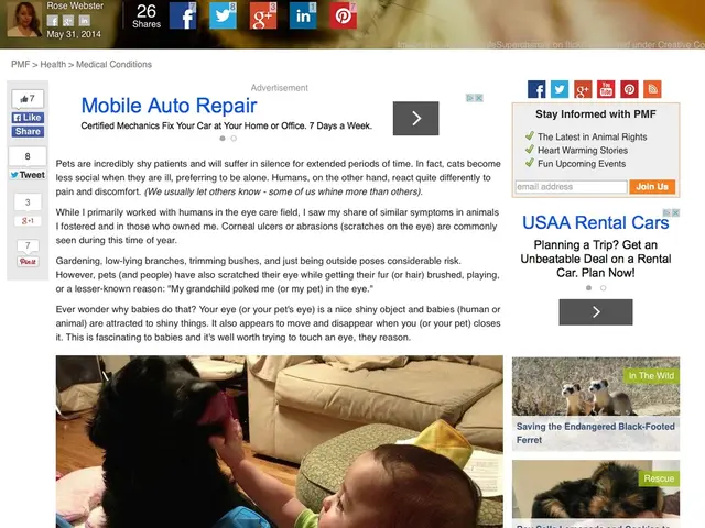 Meta introduces new safeguards for teenagers, eliminates 635,000 accounts involved in sexualizing...