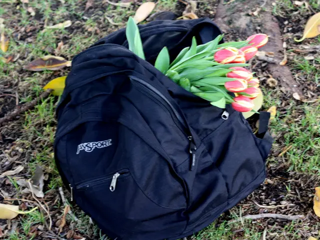 Guide on Utilizing 16-16-16 Fertilizer: Practical Applications