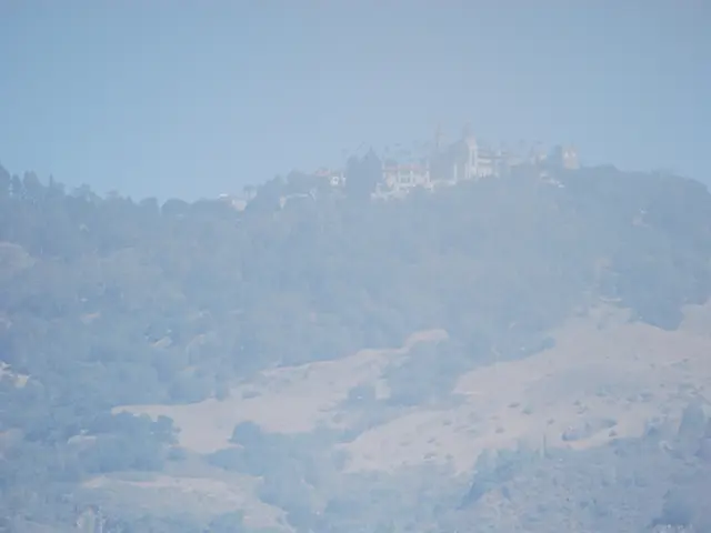 Training Horses in East Holstein: A Commitment to Skill and Passion