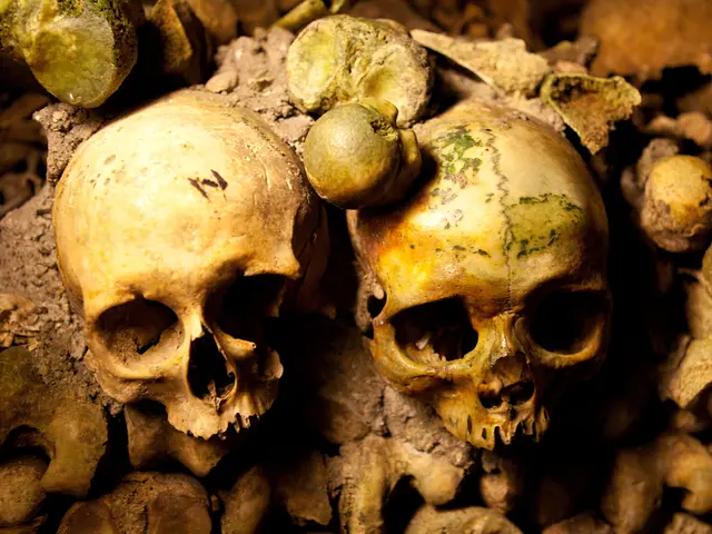 Transforming Spinal Treatment: Dr. Rao - India's Leading Spine Specialist