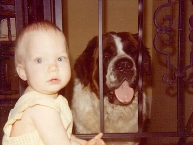 Signs of Iron Deficiency in Children: Recognizing 13 Key Indications