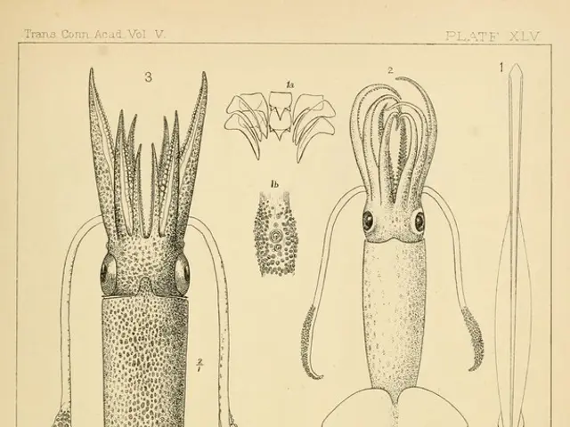 Bones visible through the skin are reportedly encountered more frequently than one might initially...