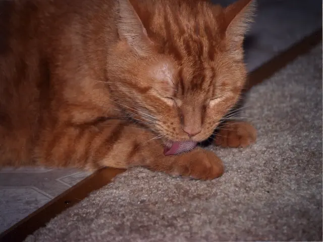 Enhancing your vagus nerve could enhance your overall health