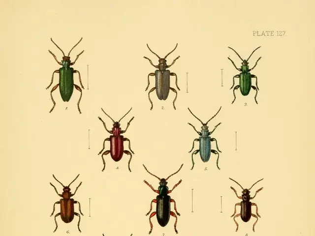 Decoding the Mysteries Hidden in Your Slumber: Understanding Dream Interpretation