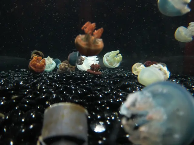 Environmental expert Golubitchenko shares predicted timeline for the dissipation of Azov Sea's...