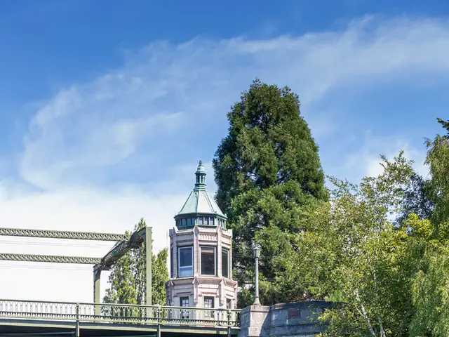 Invigorate Your Mornings: Exploring the Health Advantages of Drinking Warm Water Early Through the...