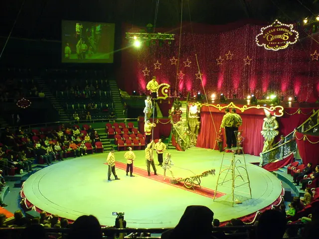 Improving synchronisation and mental sharpness: The impact of circus-related practices (such as...