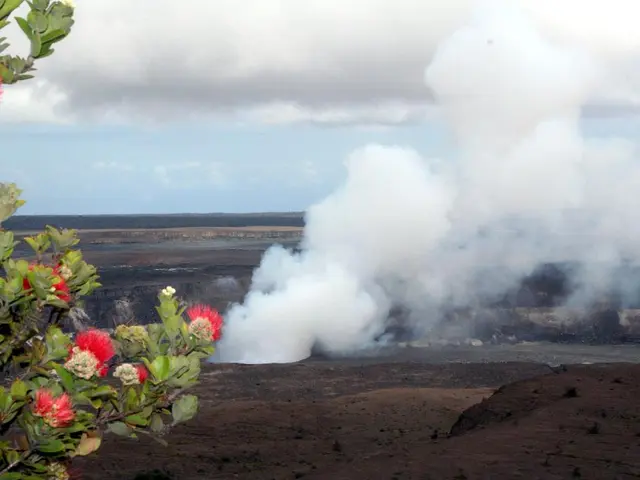 Ponderings Unrestricted, Yet... The Benefits of Dreaming in Waking Moments for Us