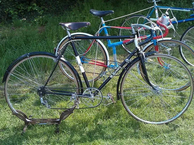 New appointment announced: Petrobras names a fresh leader for Energy Transition and Sustainability...