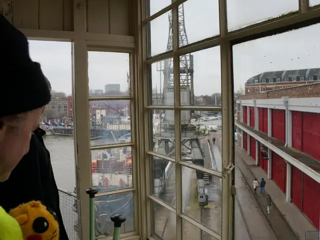 Human blunder potentially causing the bridge mishap?