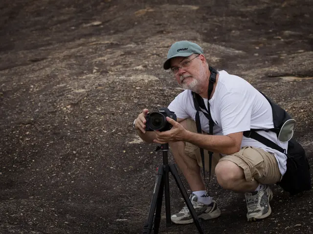 Foods for Aiding Pressure Sore Healing