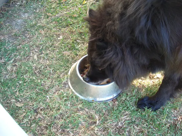 Expanded cases of African swine fever reported in the Sauerland region