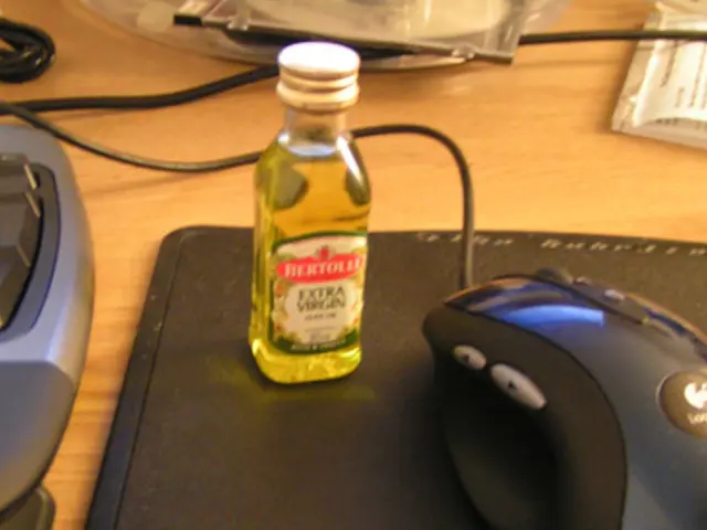 Brain Anatomy: Components, Role, Illustration, and Insights