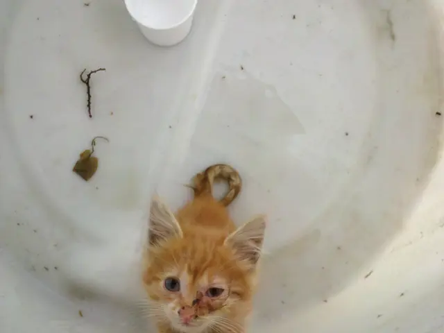 Municipality in Germany forbids consumption of tap water