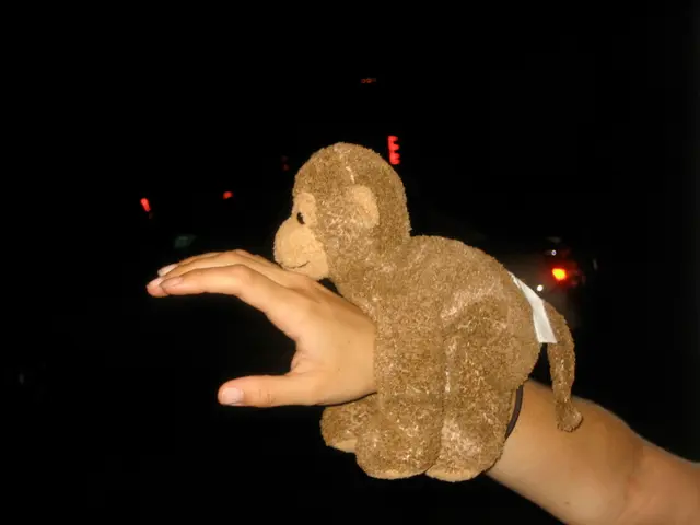 Special Interests in Autism: An Overview